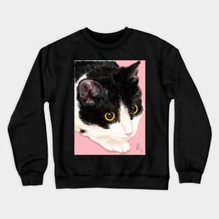 Black and White Cat on a Pink Background Crewneck Sweatshirt